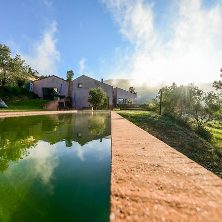 Vale Do Ninho Nature Houses Ferraria de Sao Joao Luaran gambar
