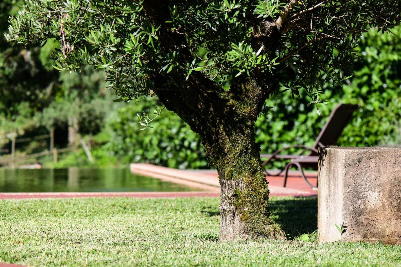 Vale Do Ninho Nature Houses Ferraria de Sao Joao Luaran gambar