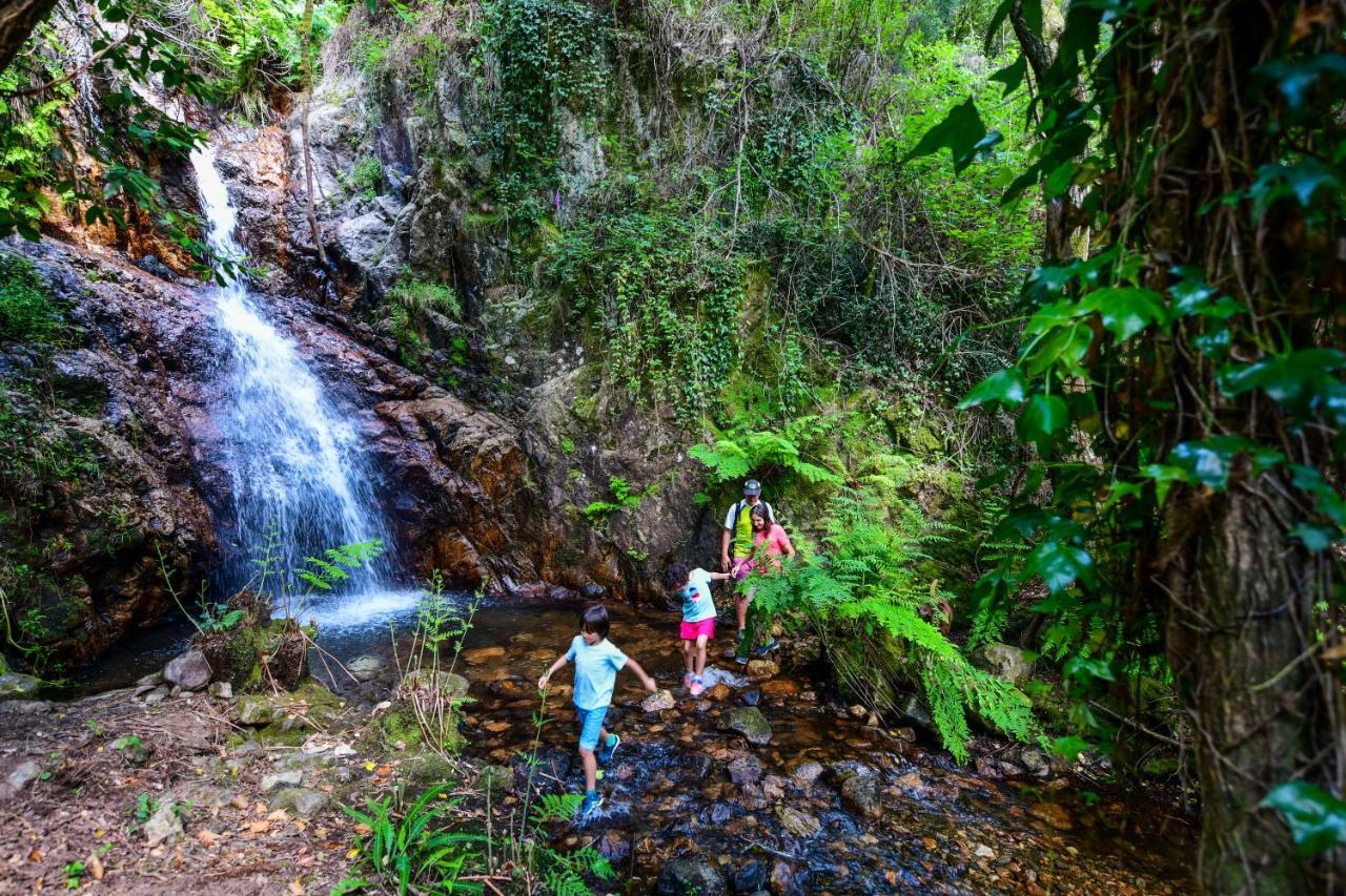 Vale Do Ninho Nature Houses Ferraria de Sao Joao Luaran gambar